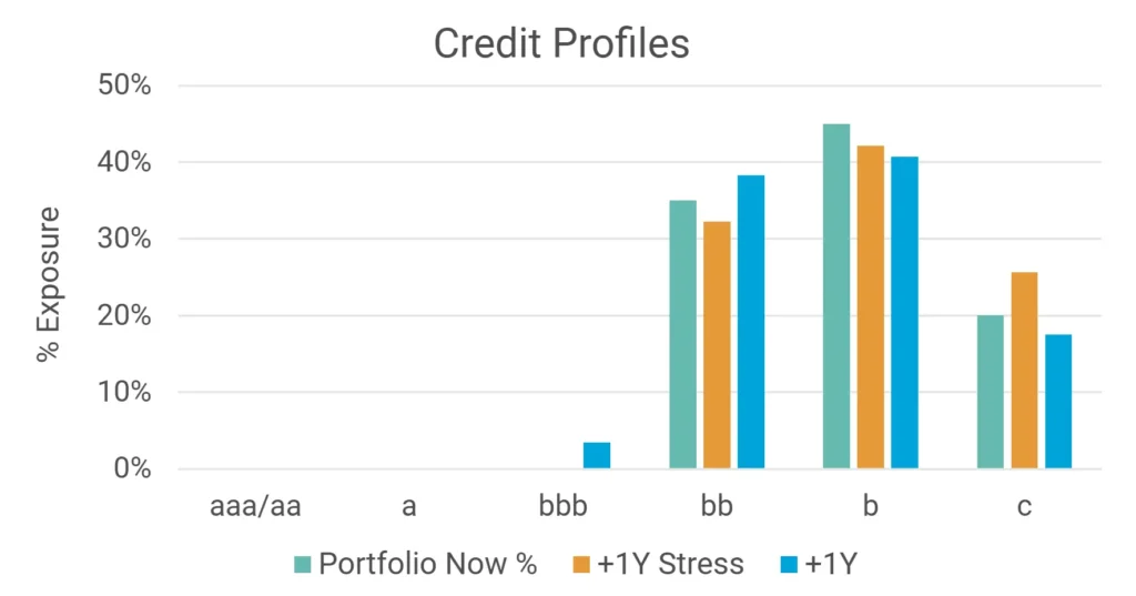 SRT Credit Profiles